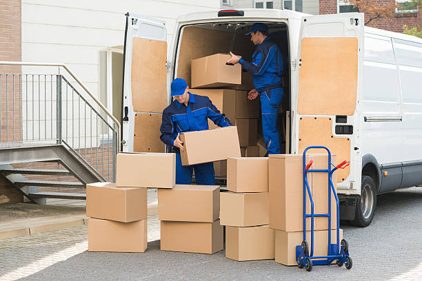 Young delivery men unloading cardboard boxes from truck on street